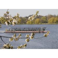 3450_2768 Fahrt im Frühling - Solarschiff ALSTERSONNE. | Alsterschiffe - Fahrgastschiffe auf der Alster und den Hamburger Kanälen.